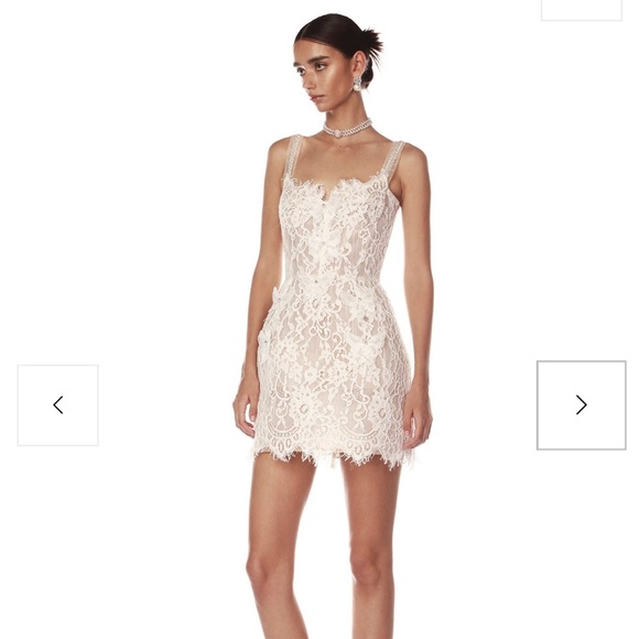 NWT Bronx and Banco Colette Mini Dress unworn - Picture 4 of 4